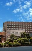 Туры в отель Kaleiston Hotel