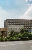 Туры в отель Kaleiston Hotel