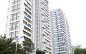 Туры в отель TRUE GO S Hotel (Shenzhen Convention & Exhibition Center Lianhe Plaza)