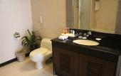 Туры в отель TRUE GO S Hotel (Shenzhen Convention & Exhibition Center Lianhe Plaza)
