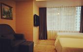 Туры в отель TRUE GO S Hotel (Shenzhen Convention & Exhibition Center Lianhe Plaza)
