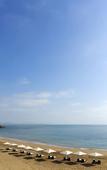 Туры в отель The Lalu Qingdao