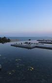 Туры в отель The Lalu Qingdao
