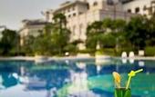 Туры в отель Country Garden Phoenix Hotel Chizhou Mount Jiuhua