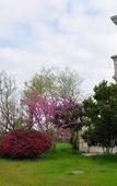 Туры в отель Country Garden Phoenix Hotel Chizhou Mount Jiuhua