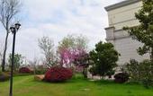 Туры в отель Country Garden Phoenix Hotel Chizhou Mount Jiuhua