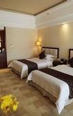 Туры в отель Gaoming Country Garden Phoenix Hotel