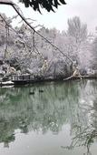 Туры в отель Hangzhou Rose Garden Resort