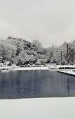 Туры в отель Hangzhou Rose Garden Resort
