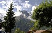 Туры в отель Lauberhorn