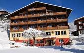 Туры в отель Lauberhorn