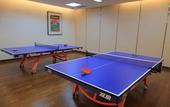 Туры в отель Foshan Shunde Longjiang Country Garden Fengyue Phoenix Hotel
