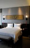 Туры в отель Xi'an International Innovation Talent Exchange Center(Hotel)