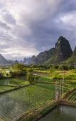 Туры в отель Yangshuo Zen Garden Retreat