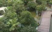 Туры в отель Country Garden Funyard  Phoenix Hotel Xinhui Jiangmen(Wanda Plaza )
