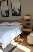 Туры в отель Binjiang Scholars Hotel