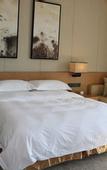 Туры в отель Binjiang Scholars Hotel