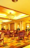 Туры в отель Green Lotus Hotel