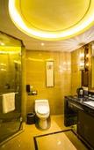 Туры в отель Rising Hotel, Chengdu TaiKoo Li