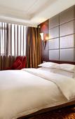 Туры в отель Harmony Ark Hotel (Chengdu Wuhou Temple Jinli)