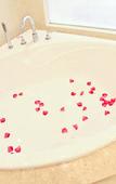 Туры в отель Lamtin Longwin Hotel