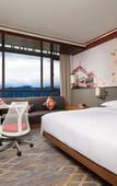 Туры в отель Hilton Garden Inn Shangri-La