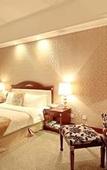 Туры в отель Swan Hotel