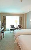 Туры в отель Swan Hotel