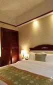 Туры в отель Swan Hotel