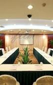 Туры в отель Swan Hotel