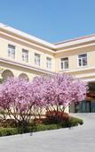 Туры в отель Phoenix Garden Hotel