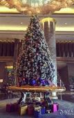 Туры в отель Wanda Vista Kunming