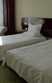 Туры в отель New Era Hotel (Shanxi Provincial Government)