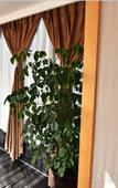 Туры в отель Chengdu   Xing Rui Pretty   Hotel