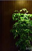 Туры в отель Chengdu   Xing Rui Pretty   Hotel