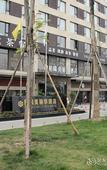 Туры в отель Chengdu   Xing Rui Pretty   Hotel