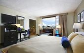 Туры в отель Laurel Inn