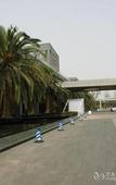 Туры в отель Tennis  International Hotel
