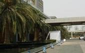 Туры в отель Tennis  International Hotel