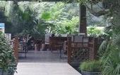 Туры в отель Tennis  International Hotel
