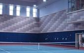 Туры в отель Tennis  International Hotel