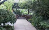 Туры в отель Tennis  International Hotel