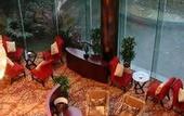 Туры в отель Tennis  International Hotel
