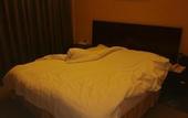 Туры в отель Zhengzhou Dahe Business Hotel