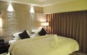 Туры в отель Top Elites City Resort & SPA Hotel