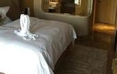 Туры в отель Top Elites City Resort & SPA Hotel