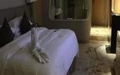 Туры в отель Top Elites City Resort & SPA Hotel