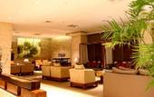 Туры в отель Top Elites City Resort & SPA Hotel