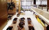 Туры в отель Top Elites City Resort & SPA Hotel