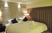 Туры в отель Top Elites City Resort & SPA Hotel